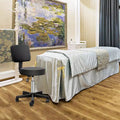 Rolling Bar Stool Adjustable Hydraulic Massage Spa Salon Beauty Chair with Backrest
