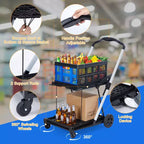 Foldable Shopping Carts for Groceries, 2-Tier Collapsible Grocery Carts with Wheels and Removable Storage Crate, Aluminum Frame Folding Trolley