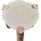Natural Burl Wood End Table